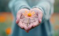  A Self-Compassion Journey (Cantonese)