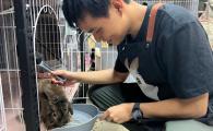 Bunny Rescue Revamp 兔兔關愛行動 (Oct 2025)